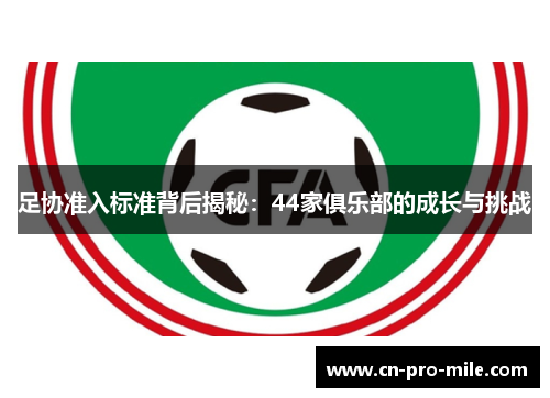 足协准入标准背后揭秘：44家俱乐部的成长与挑战