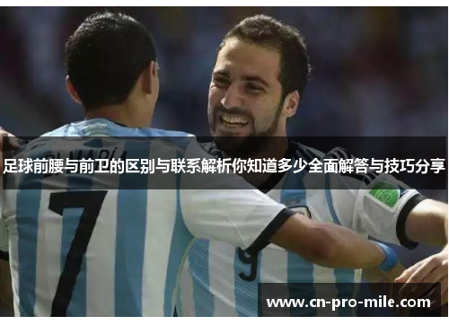 足球前腰与前卫的区别与联系解析你知道多少全面解答与技巧分享