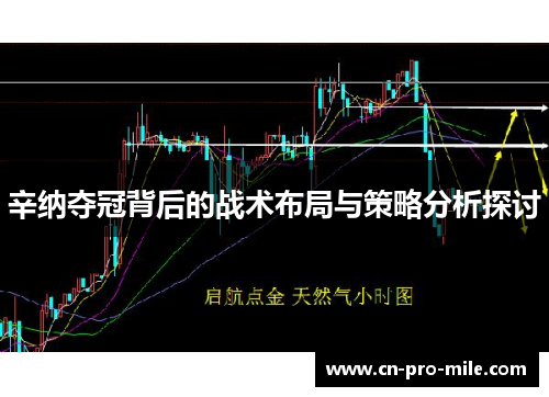 辛纳夺冠背后的战术布局与策略分析探讨