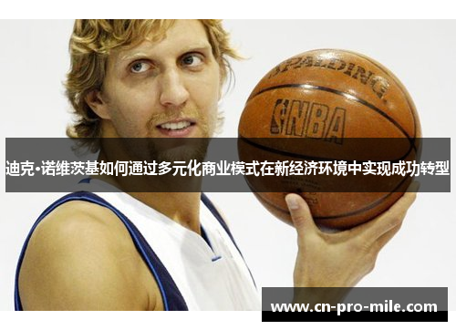 迪克·诺维茨基如何通过多元化商业模式在新经济环境中实现成功转型
