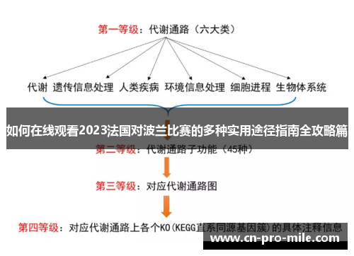 如何在线观看2023法国对波兰比赛的多种实用途径指南全攻略篇