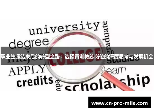 职业生涯结束后的转型之路：选择青训教练岗位的深度思考与发展机会